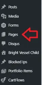 pagini WordPress