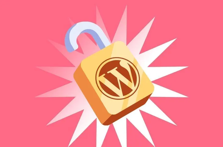 What Are Some Common WordPress Security Issues