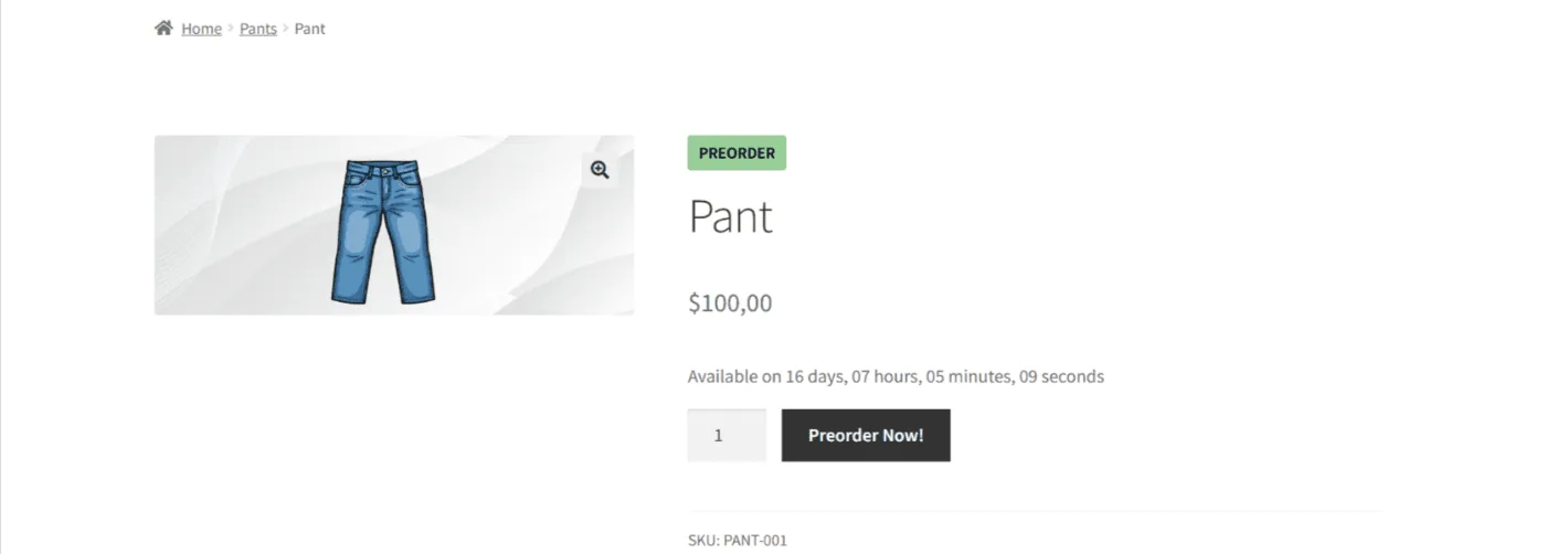 Product page showing the pre-order badge, the availability date, and the Pre-order Now button