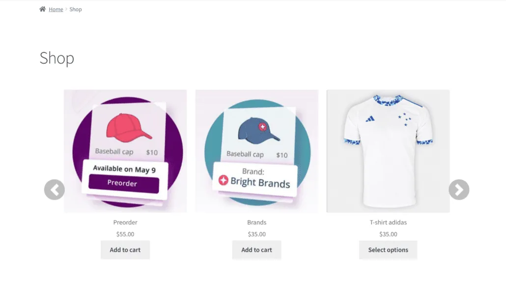 Heldere merken voor Woocommerce: carousel shop page exmple