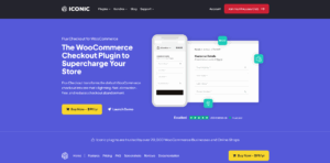 Flux Checkout by Iconic
